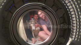Gopro in washing machine and a husky