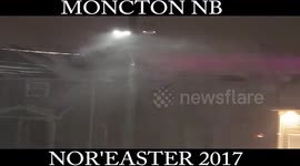 Guy Takes Dog For A Jog In His Underwear During A Nor'Easter
