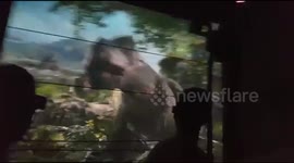 A scary hairy Ride experience