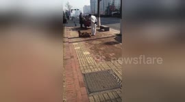 Man gives his poodles military training in China