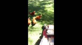 Farmer Mel Problems 342342
