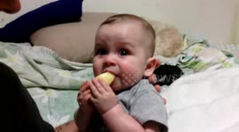 Cute Baby Eats Lemon for First Time -- Goes Back for More!
