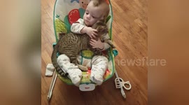 Newsflare Edit - Baby and kitty