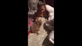 Valentine's Day: Man surprises sleeping wife with adorable puppy