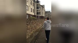 Newsflare Edit - Baywatch goes wrong