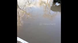 The tank for real...SAN JOSE FLOOD https://t.co/QHfwo7sIau