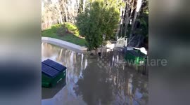 Creek breach causes massive flood in San Jose, California