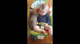 Baby Maddox loves nothing more than to cuddle up with kitten Donna