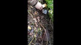Uranium in Chernobyl