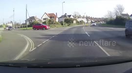 Cat waits for traffic to stop before crossing road