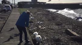 Storm Doris