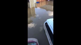 Nordale Ave, San Jose, Ca