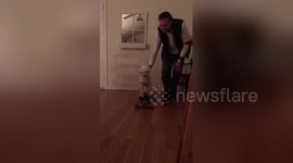Newsflare Edit - Dog sketaboarding
