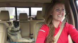 Dog 'sings' along with lip-synching owner