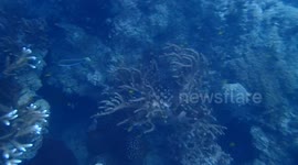 The waters around Mackay