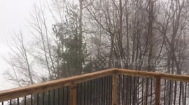 Winter Thunderstorm