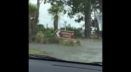 Adrenalin Forest Christchurch NZ