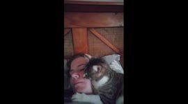 Cat licks me until I wake up