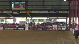 Pro Rodeo Bronc Riding