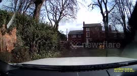 Driver had miracle escape after giant tree pierced her windscreen