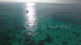 FISHING- GT STRIKE DRONE FOOTAGE