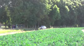 Rally Crash Talbot Sunbeam Ti