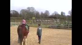Tiny Child riding a Giant Horse