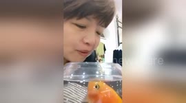 Fish 'kisses' owner