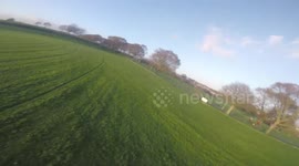 Drone vs Dog