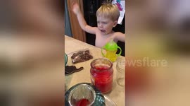 Busted toddler denies eating brownies