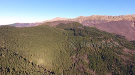 Aerial shot, autumn landscape in the high mountains in Italy with coniferous wood, sun high in the sky, filmed with drone, 4K