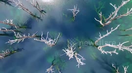 Chile nature in all its glory from top view