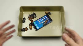 Casting Cockroaches + iPhone 7 Plus in Molten Aluminum!