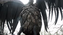 Health service  protest