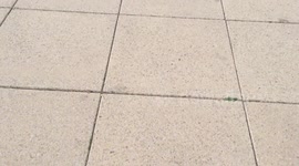 Fail on skates