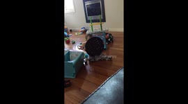 Amused baby has an infectious laugh