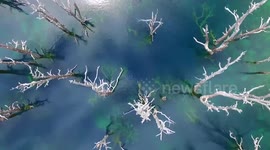 Drone footage captures the beauty of Chile