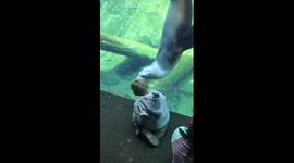 David and the Sea Lion