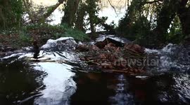 Minature waterfall/ stream, beck footage