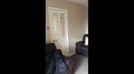 Surprise puppy reveal, when Phoebe got her dream birthday present