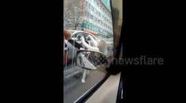 Woman gets leg stuck in central reservation when she tries to cross the road