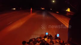 Dog runs in front of motorcycle causing crash
