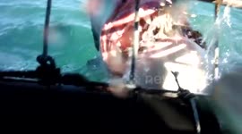 Tourists get terrified as great white shark approaches diving cage