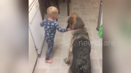 Toddler teaches his dog tricks