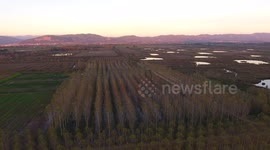 Aerial shot, fly over marshy landscape in Italy, Europe, made with drone, 4K