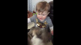 Baby Boy's Belly Laugh with Best Friend! Cuteness overload!