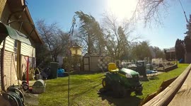 Tree falls on house in Detroit during windstorm