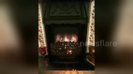 Newsflare Edit - My cat likes to hide in the space above the fire