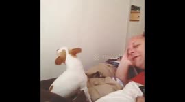 Man communicates with a dog by howling.
