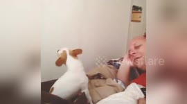 Newsflare Edit - Man communicates with a dog by howling.